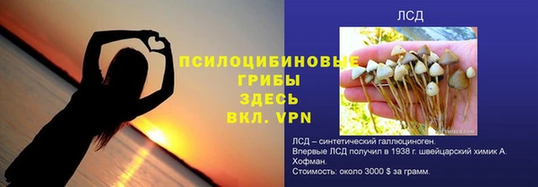 шишки Пролетарск