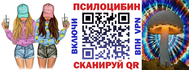 купить наркоту  Великий Устюг  Псилоцибиновые грибы ЛСД 