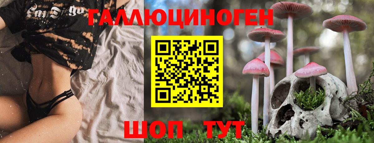 Галлюциногенные грибы MAGIC MUSHROOMS Великий Устюг