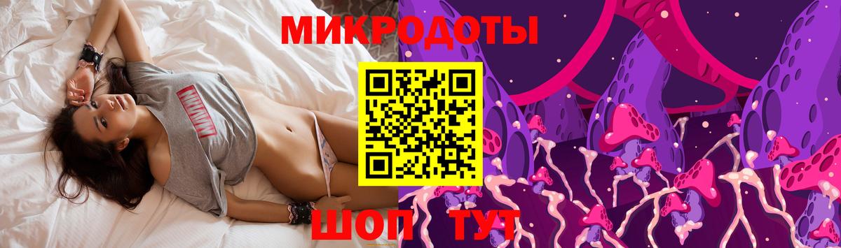 Великий Устюг  Псилоцибиновые грибы Psilocybe  Вход с VPN  Галлюциногенные грибы мухоморы 